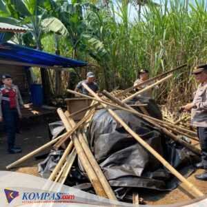 Tegas Perangi Perjudian, Polisi Bakar Dua Lokasi Sabung Ayam di Malang