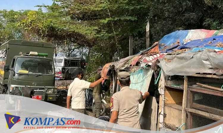 Satpol PP Pemalang Bongkar Deretan Bangunan Liar