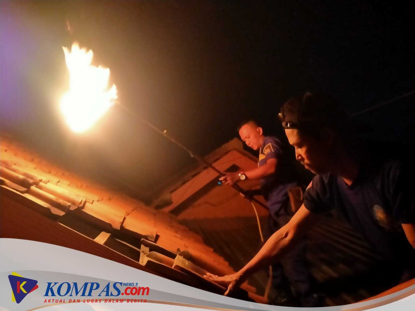 Pemusnahan Sarang Tawon Paling Tepat Pada Waktu Malam Hari.