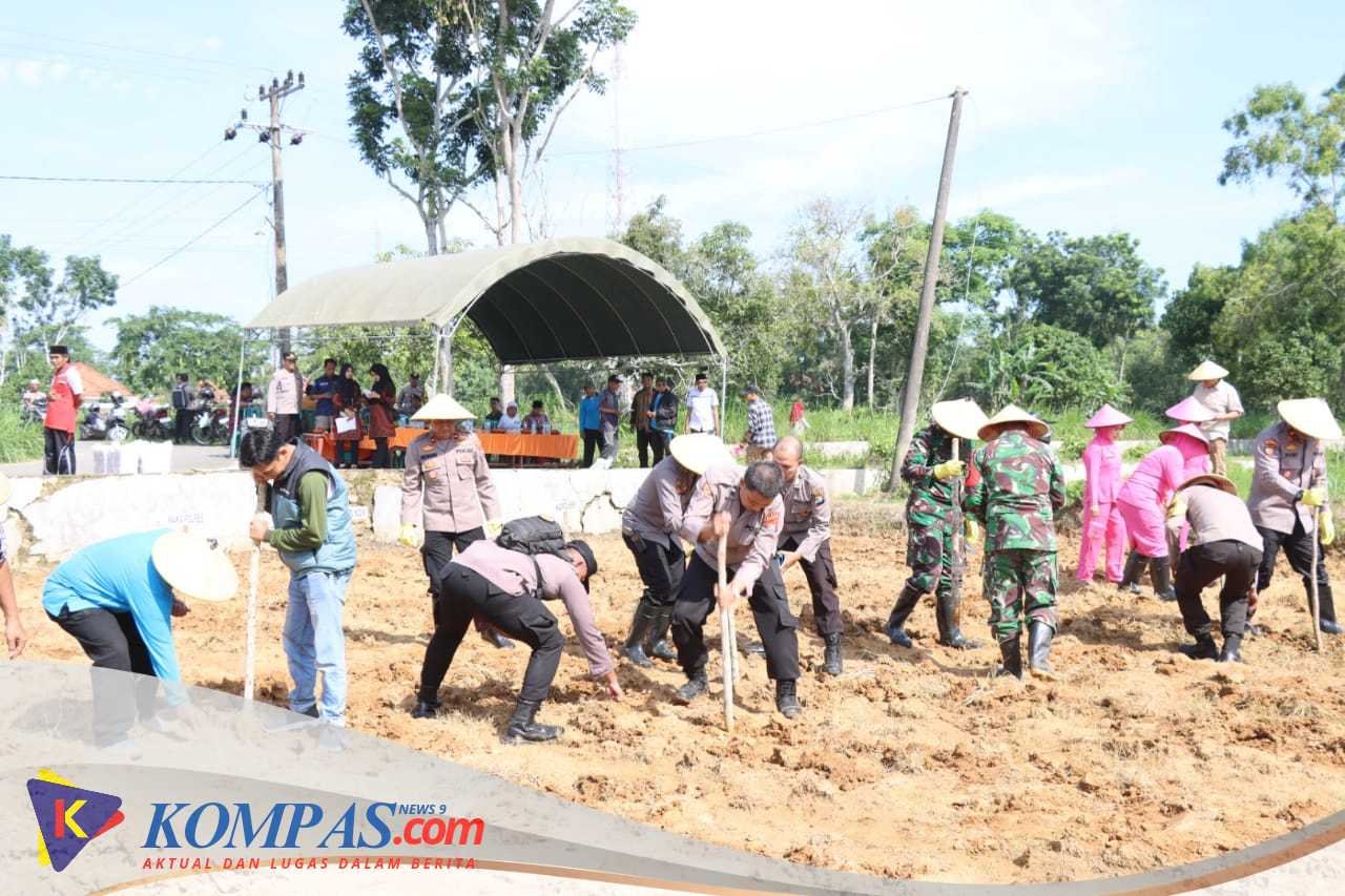 Gelorakan Swasembada Pangan Wakapolres Pamekasan Pimpin Penanaman Jagung di Pagantenan