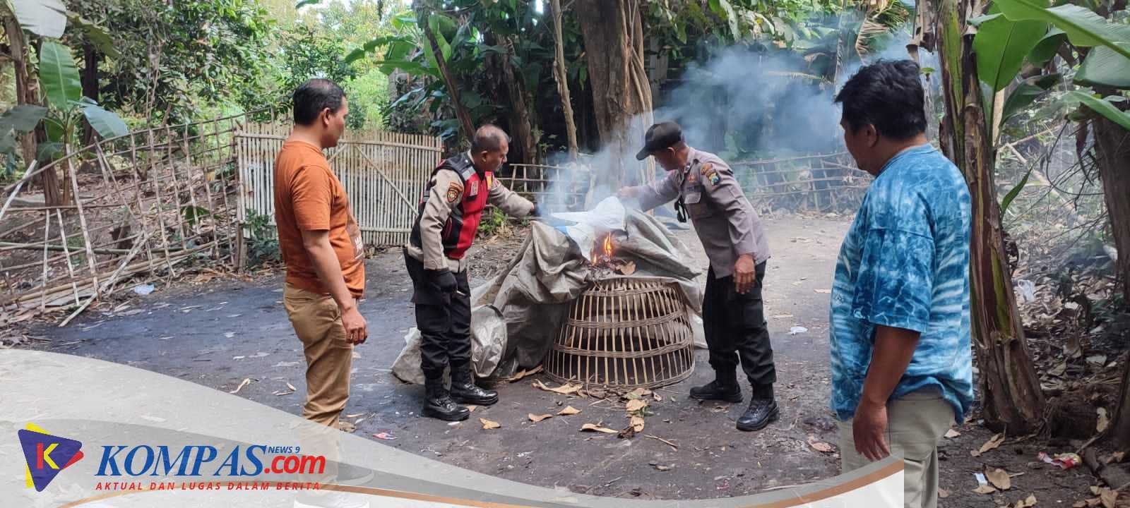 Tindaklanjuti Laporan Warga Polisi Bongkar Arena Sabung Ayam di Sidoarjo