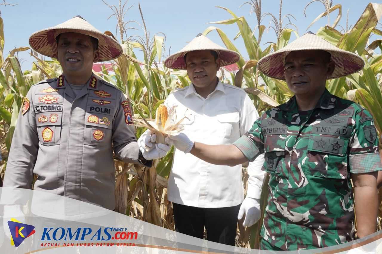 Sinergi Bupati dan Kapolresta Sidoarjo Sukseskan Panen Raya Jagung Program Polri Kuartal III 2025