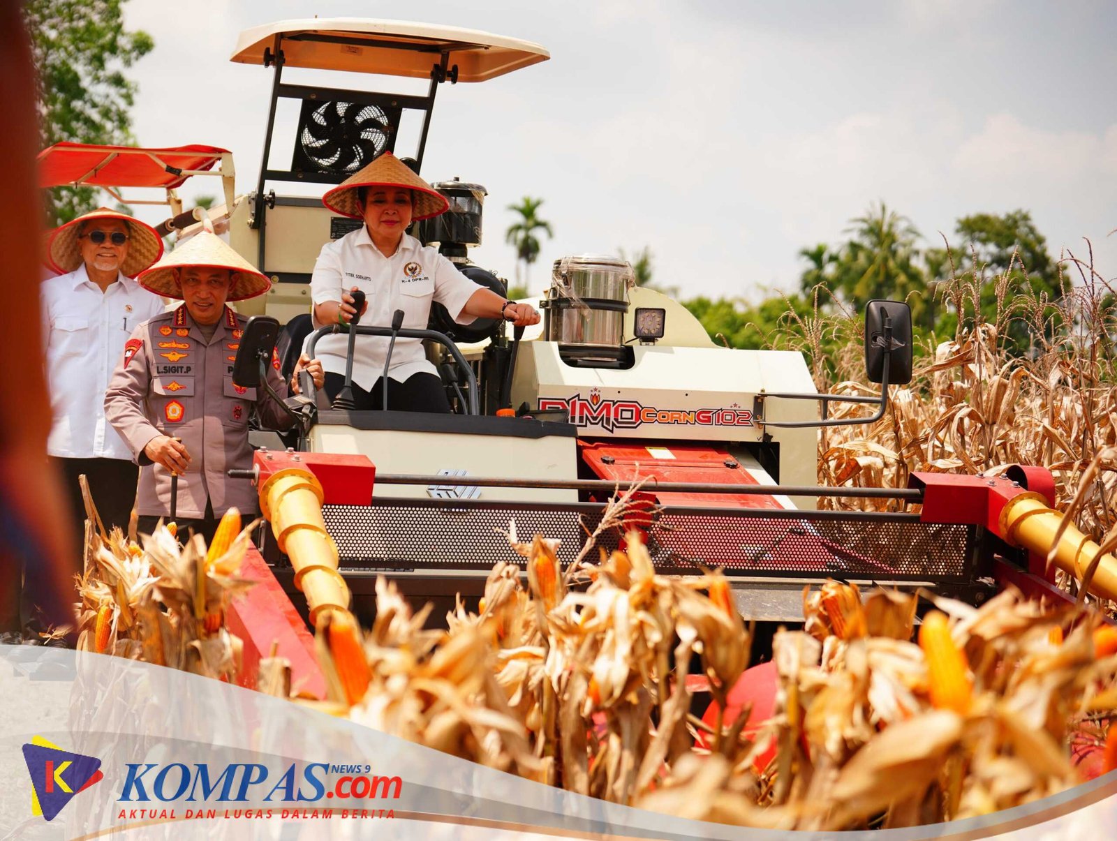 Panen Raya Kuartal III Polri Hasilkan 751 Ribu Ton Jagung, Bukti Nyata Dukung Swasembada Pangan