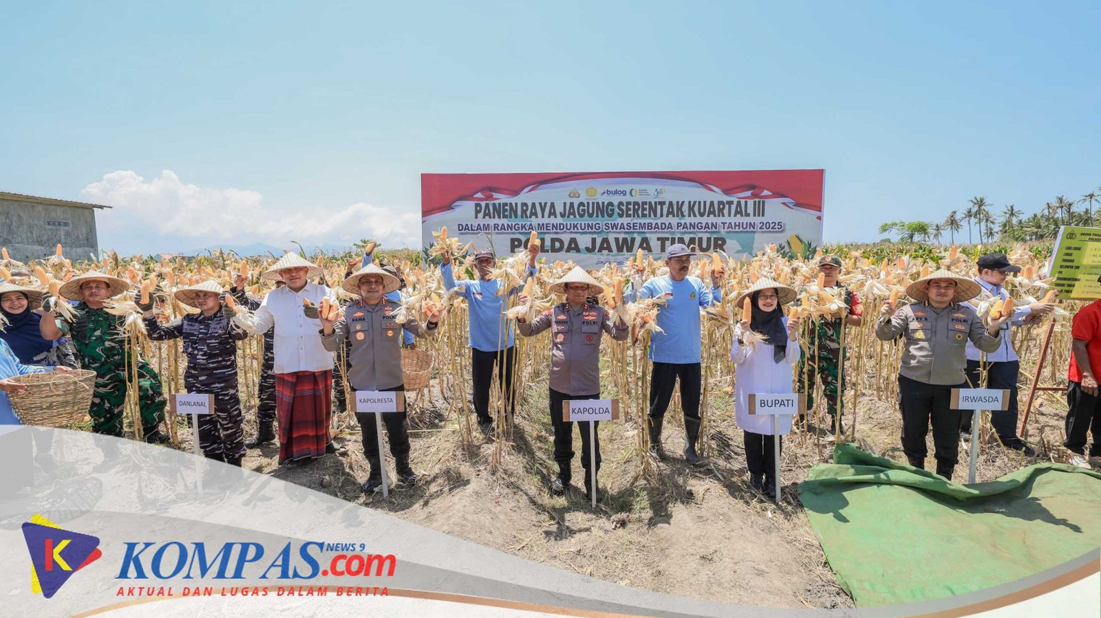 Kapolda Jatim dan Forkopimda Panen Raya Jagung Kuartal III Banyuwangi Surplus Pangan 4 kali Lipat