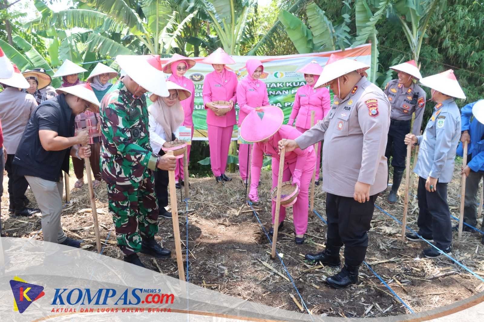 Dukung Swasembada Pangan, Polres Pasuruan Gelar Penanaman Jagung Serentak Kuartal IV di Desa Martopuro