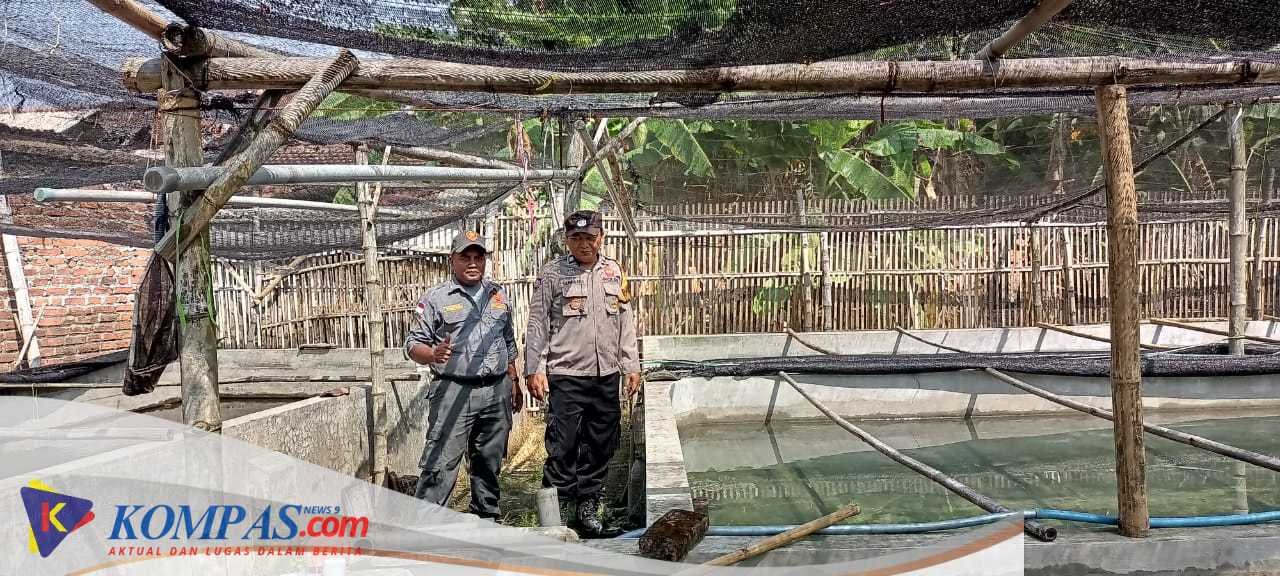 Polsek Tarik Lakukan Patroli Ketahanan Pangan di Desa Mergosari