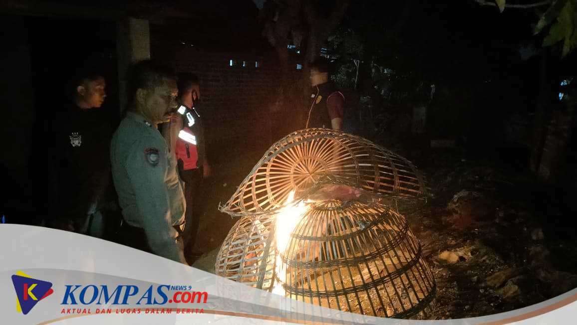 Respon Aduan Warga Adanya Sabung Ayam, Polsek Balongbendo Turun Langsung Datangi Lokasi dan Bakar Arena 
