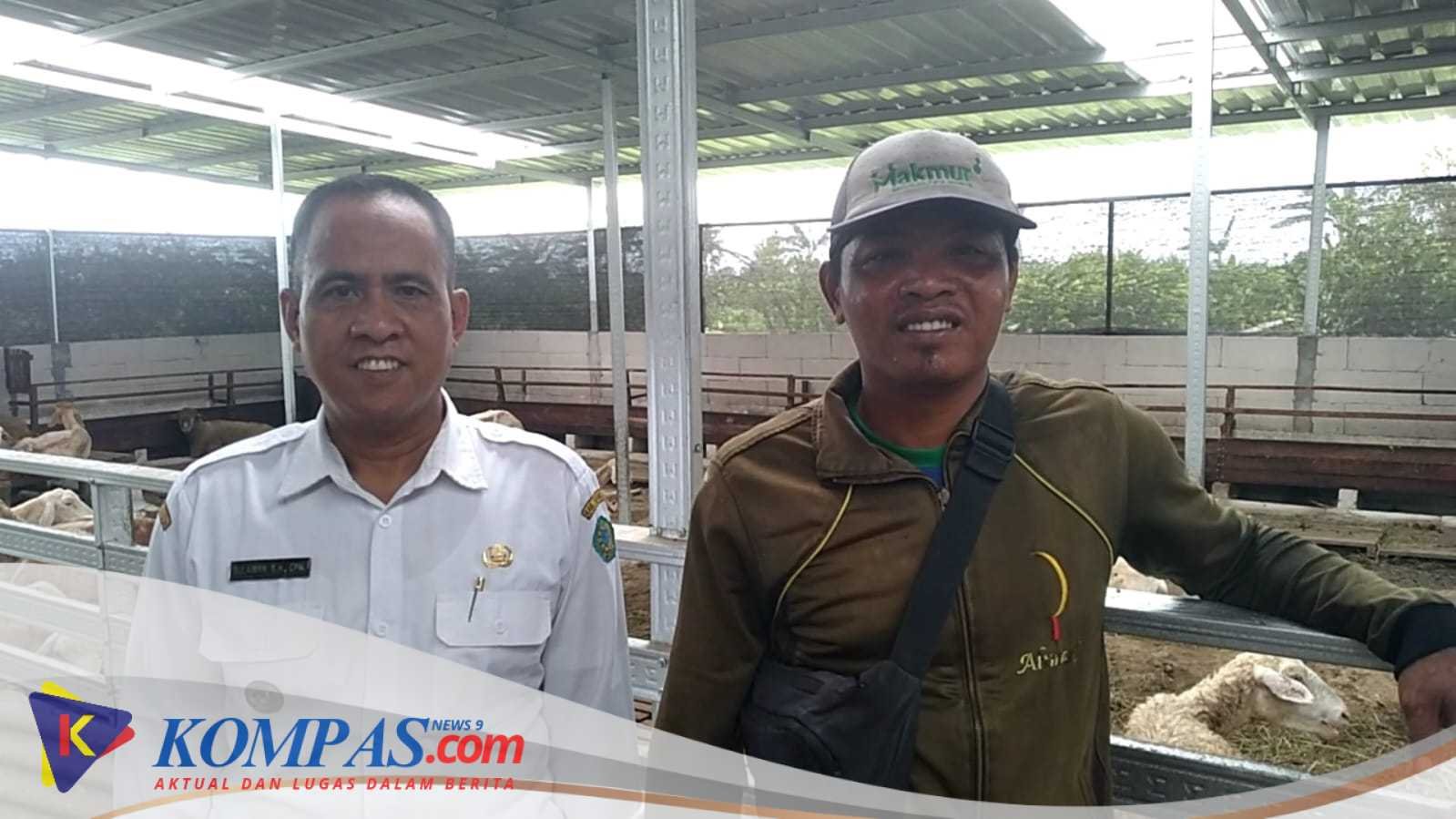 BUMDes Sambibulu Kecamatan Taman Menjadi Tempat Idukasi Bumdes Lain Juga Ada wisata Petik Dan Perkemahan