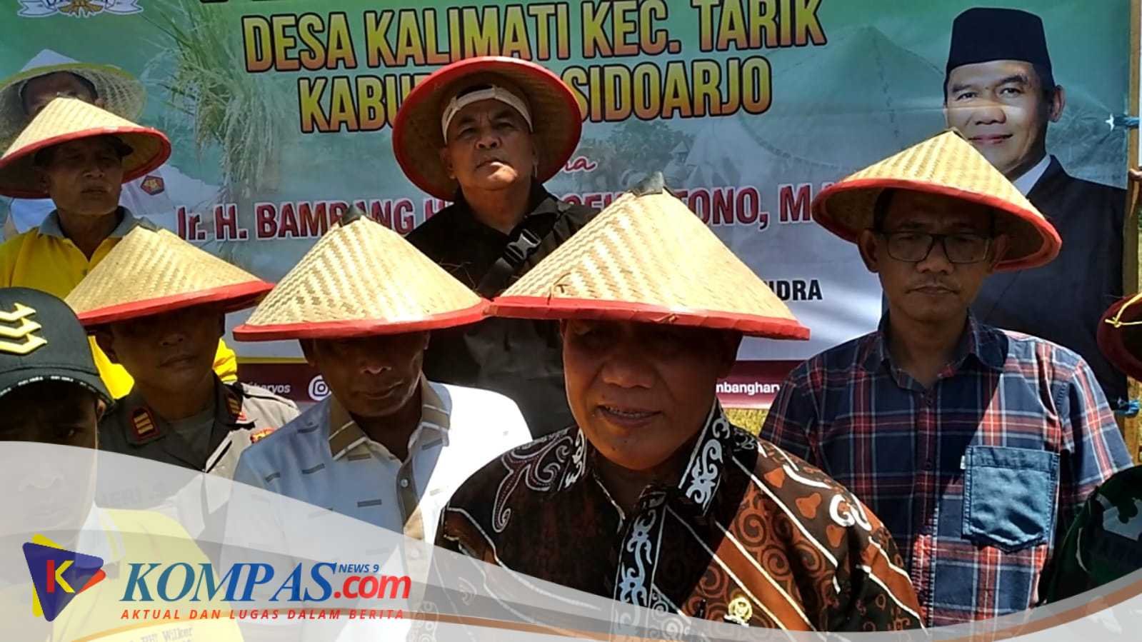 Desa Kalimati Tarik Panen Raya Padi 24 Hektare Bersama BHS Dan Calon Kepala Desa Kalimati Juga Wakil Ketua DPRD Sidoarjo