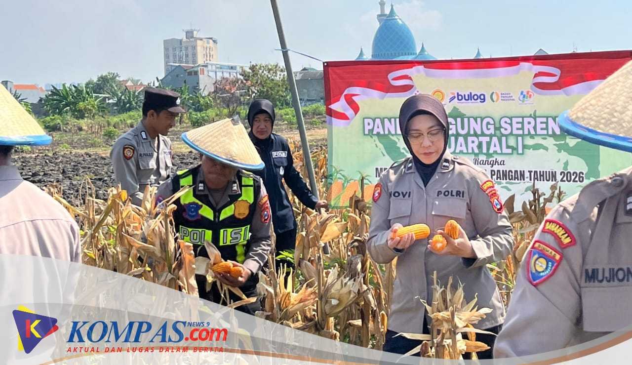 Polsek Taman Panen Jagung Serentak Dukung Ketahanan Pangan Nasional