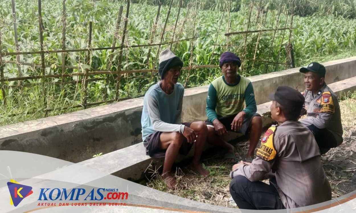 Polsek Balongbendo Tinjau Lahan Jagung, Dukung Swasembada Pangan di Sidoarjo