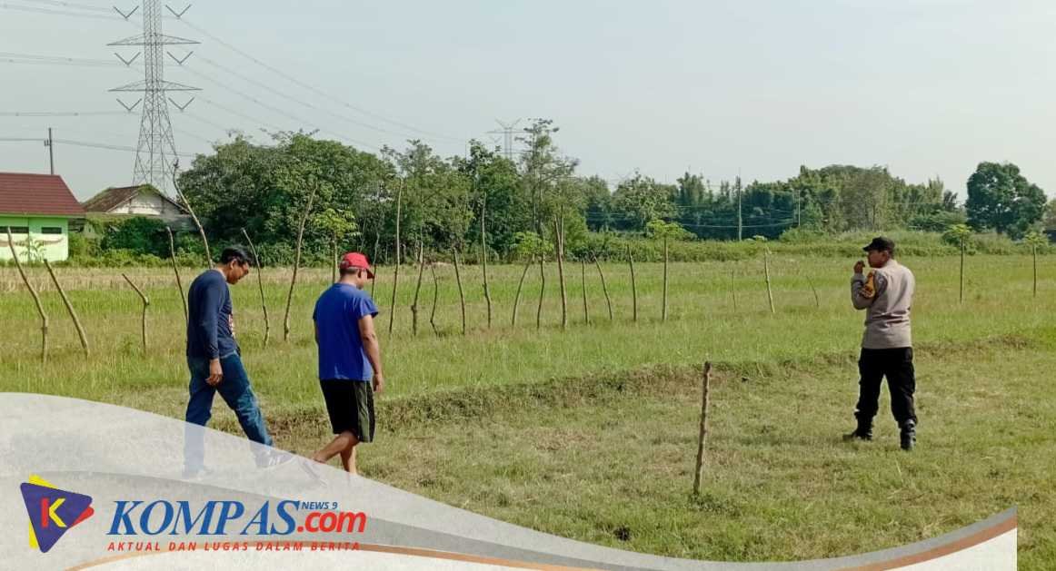 Polisi Polresta Sidoarjo Gandeng Gapoktan untuk Keberhasilan Tanaman Jagung
