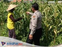 Petani Desa Lebo Apresiasi Dukungan Polisi Terhadap Upaya Ketahanan Pangan 