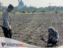 Polsek Taman Masifkan Bhabinkamtibmas Turut Pantau Gerakan Ketahanan Pangan Petani 