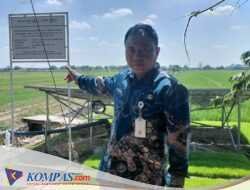 Sekcam Kecamatan Tarik Ir Wahib Achmadi Kunjungi Pompa Air Tenaga Surya
