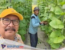 Sugiono SE. MM. Kepala Desa Gempol Klutuk Kecamatan Tarik  Inspirasi Green House Melon 
