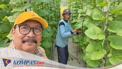 Sugiono SE. MM. Kepala Desa Gempol Klutuk Kecamatan Tarik  Inspirasi Green House Melon 