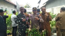 Forkopimca Balongbendo Kunjungi Tanaman Toga Kumis Kucing Di Desa Wonokupang 