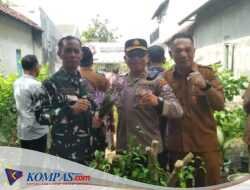 Forkopimca Balongbendo Kunjungi Tanaman Toga Kumis Kucing Di Desa Wonokupang 