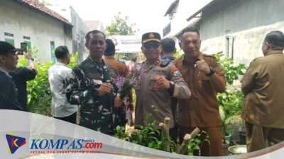 Forkopimca Balongbendo Kunjungi Tanaman Toga Kumis Kucing Di Desa Wonokupang 