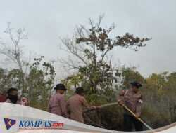 Penanganan Karhutla Hari Keenam, Brimob Kembali Turun Di Biak