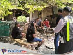 Polsek Taman Respon Cepat Aduan Warga Dugaan Judi Sabung Ayam di Sambibulu