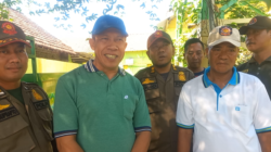 Satpol PP Kecamatan Tarik Cek Pohon Besar Yang Tumbuh  Di Samping  Jalan Dan Sosialisasi Bencana Alam