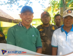 Satpol PP Kecamatan Tarik Cek Pohon Besar Yang Tumbuh  Di Samping  Jalan Dan Sosialisasi Bencana Alam