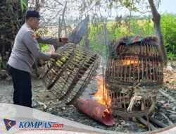 Polresta Sidoarjo Bersama Polsek Sukodono Tindak Lanjuti Dumas Sabung Ayam di Desa Bangsri